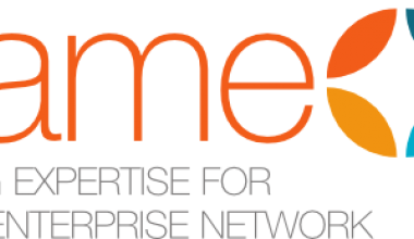 SesameNet logo