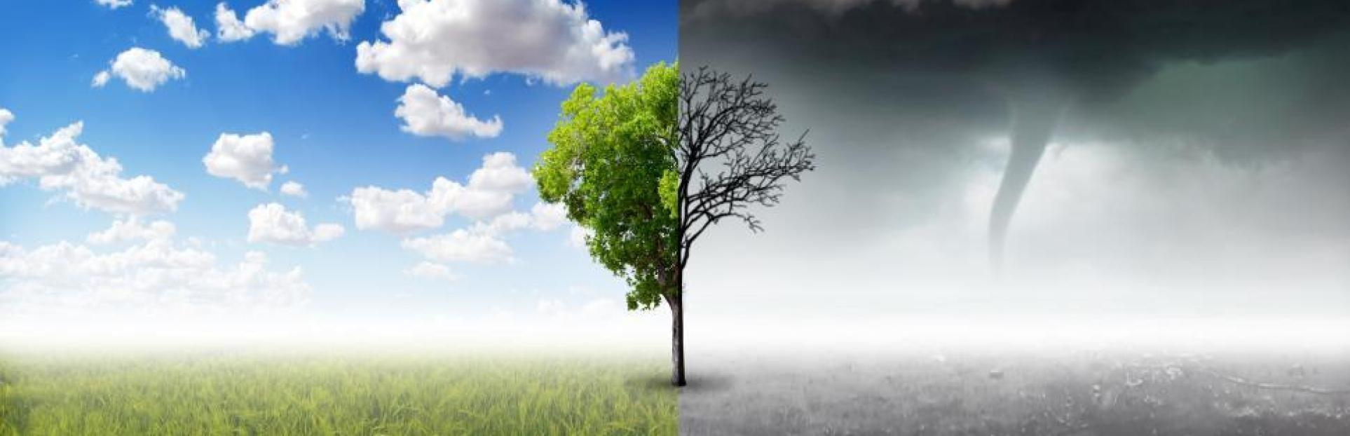 IPCC AR6 Climate Change 2022: Impacts, Adaptation and Vulnerability | ICHEC