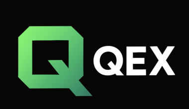 QEX logo