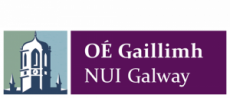 NUIG Logo